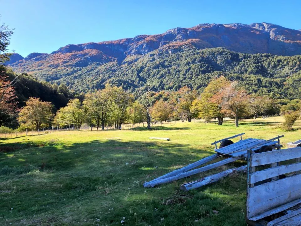 Propriedade da terra / florestal Río Ibáñez Venda Chile | Grundstück Patagonien zu Verkaufen