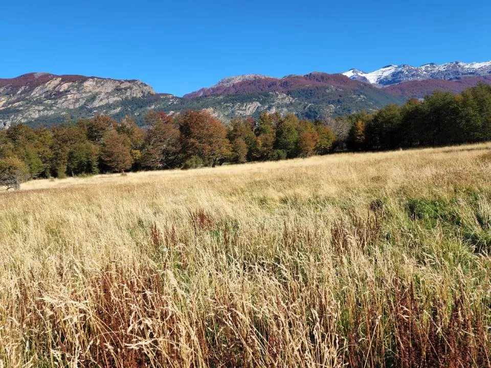Grundstück Patagonien zu Verkaufen