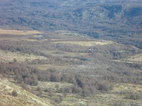 Parcelles O’Higgins Achat Chili | Grundstück in Chile zu verkaufen