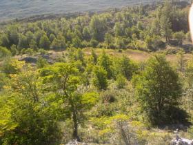 Parcelles O’Higgins Achat Chili | Grundstück in Chile zu verkaufen