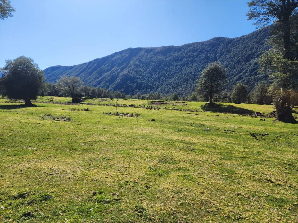Patagonien Chile Grundstück
