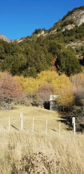 Property Land / erdo"gazdálkodás Río Ibáñez Eladó Chile