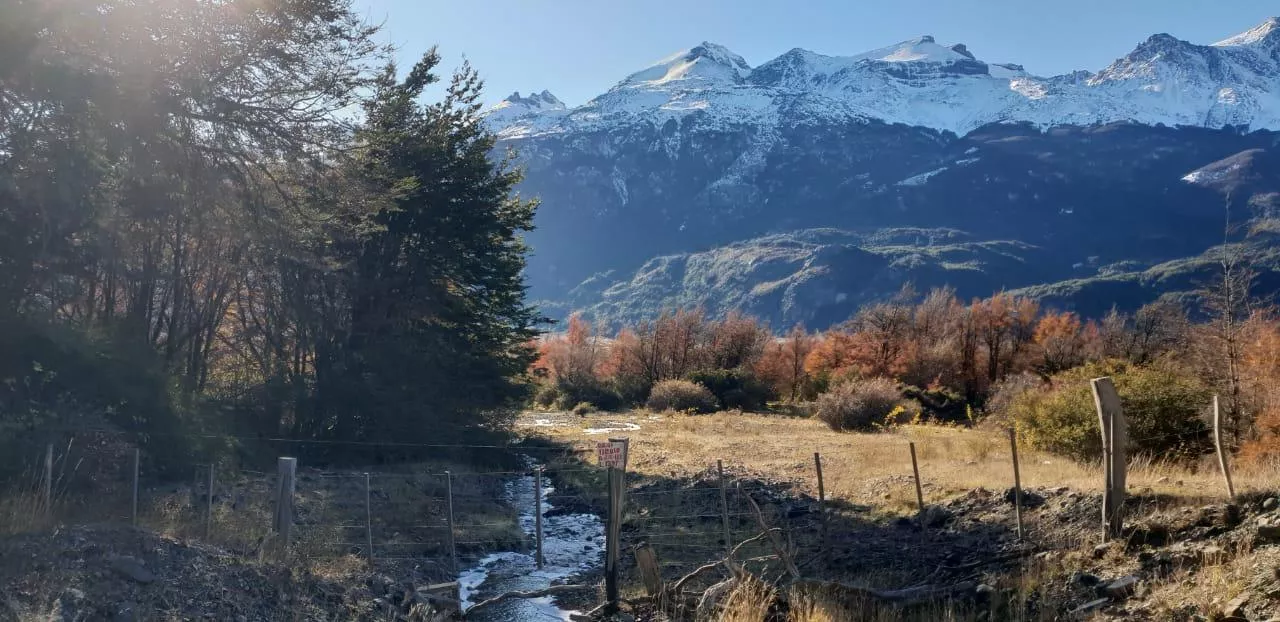 Property Land / erdo"gazdálkodás Río Ibáñez Eladó Chile