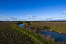Vinicultura en venta en Yerbas Buenas-Yerbas Buenas, Chile