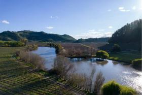 Виноградарство Йербас Буэнас Продажа Чили | Weingut in Chile zu verkaufen