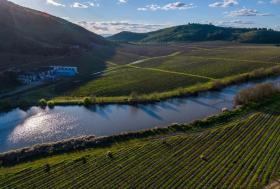Виноградарство Йербас Буэнас Продажа Чили | Weingut in Chile zu verkaufen