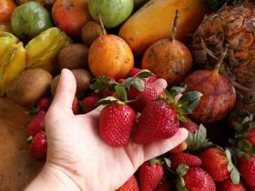 Casa Pavoni Vendita Costa Rica | Anwesen in Cartago, Costa Rica zu verkaufen