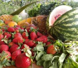 Casa Pavoni Vendita Costa Rica | Cartago, Costa Rica