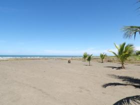 Casa Pavoni Vendita Costa Rica