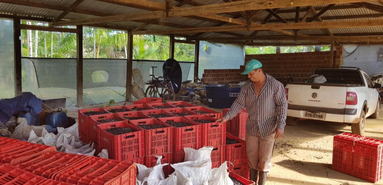 Granja / rancho Praia do Ramo En venta Brasil | Farm in Ponta da Tulha for sale