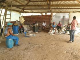 Fazenda / Rancho Praia do Ramo À venda Brasil | Farm in Brasilien zu kaufen