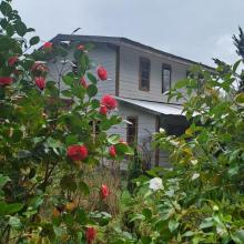 Gård / ranch Loncoche Til salgs Chile | Chile Anwesen zu verkaufen