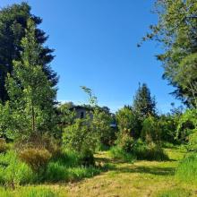 Gård / ranch Loncoche Til salgs Chile | Chile Anwesen zu verkaufen