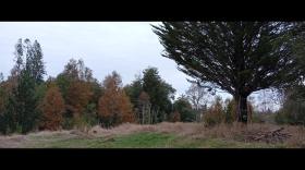 Gård / ranch Loncoche Til salgs Chile | Chile Anwesen zu verkaufen