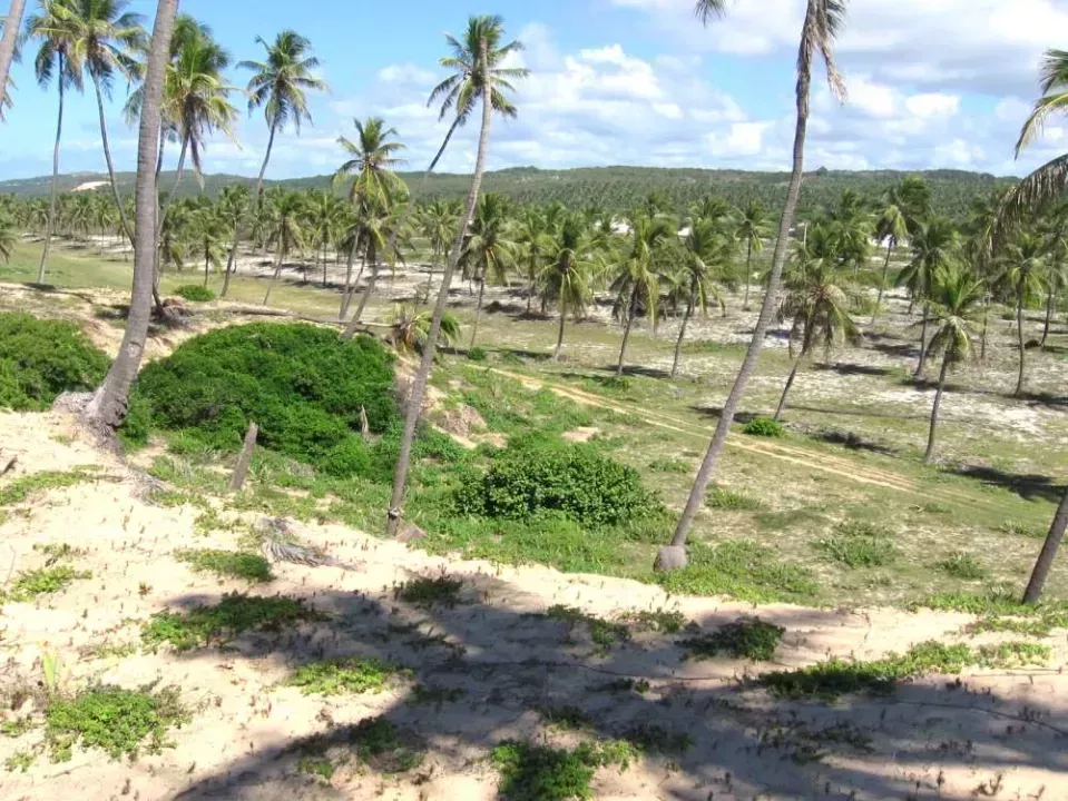 строительная площадка Барра-ду-Итарири Продажа Бразилия | Brasilien Bahia Barra do Itariri Grundstück am Meer