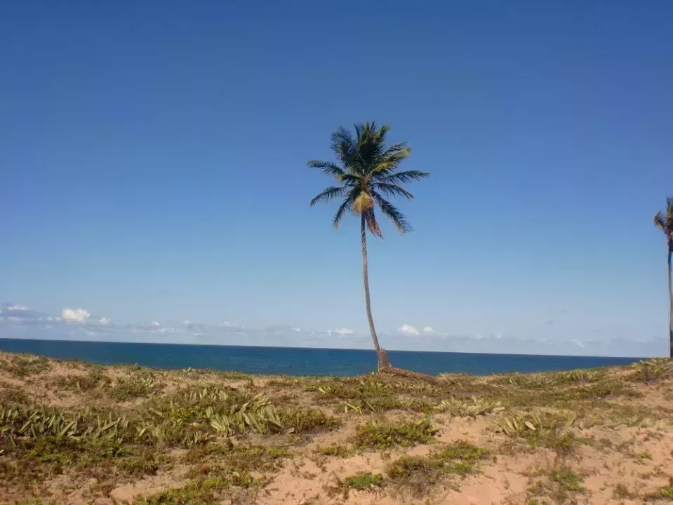 строительная площадка Барра-ду-Итарири Продажа Бразилия | Brasilien Bahia Barra do Itariri Grundstück am Meer