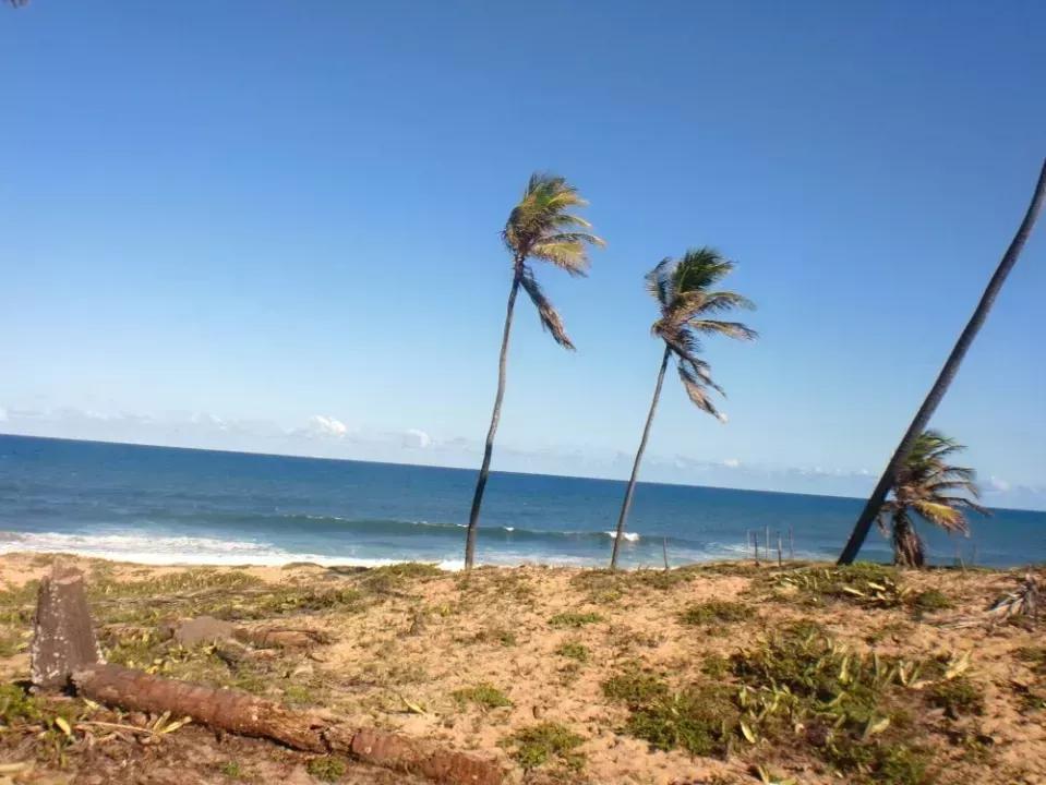 строительная площадка Барра-ду-Итарири Продажа Бразилия | Brasilien Bahia Barra do Itariri Grundstück am Meer