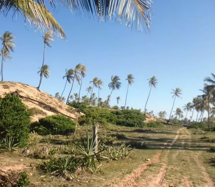 строительная площадка Барра-ду-Итарири Продажа Бразилия | Brasilien Bahia Barra do Itariri Grundstück am Meer