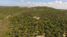 building ground Barra do Itariri for sale Brazil | Bahia Barra do Itariri 15,98 ha Grundstück
