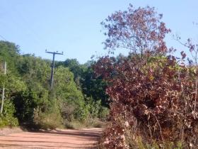 building ground Barra do Itariri for sale Brazil | Bahia Barra do Itariri 15,98 ha Grundstück