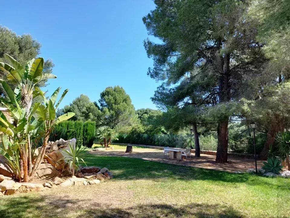Denia traumhafte Villa - Finca - Garten