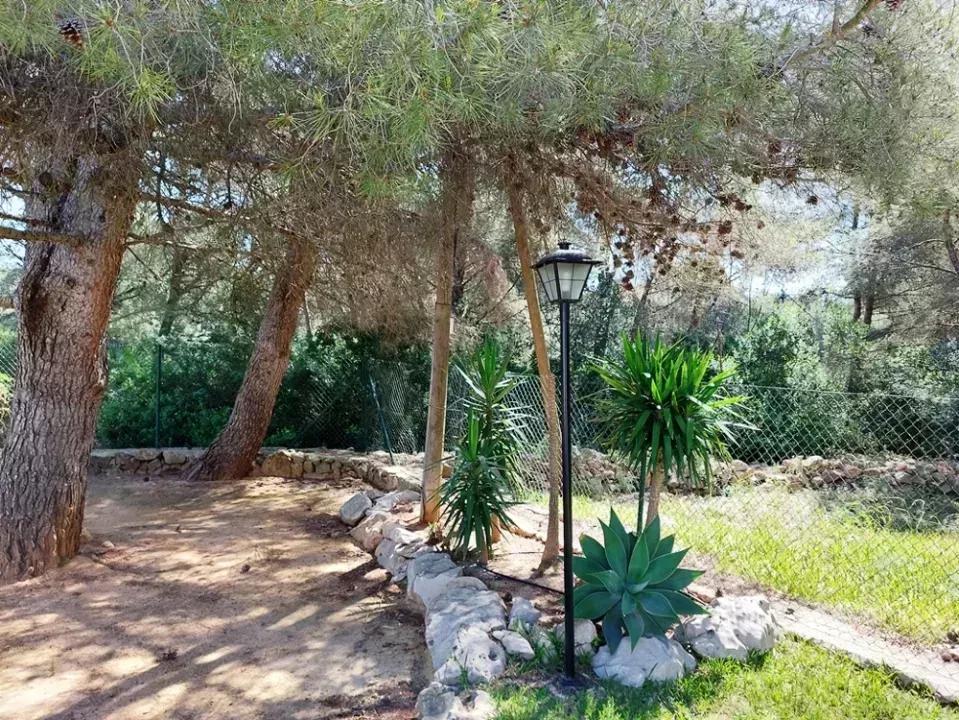 Denia traumhafte Villa - Finca - Garten