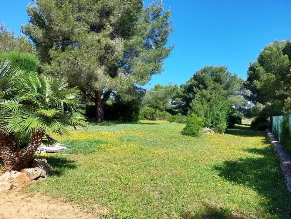 Denia traumhafte Villa - Finca - Garten