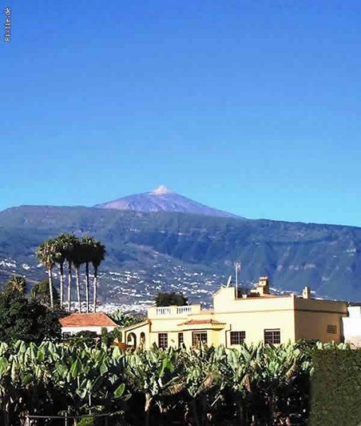 Finca mit teide