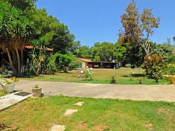 Casa Kyparissia Vendita Grecia | Parkgelände vor den Häusern