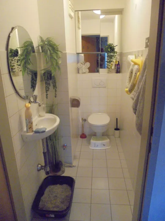 Apartment Linz Auction / Foreclosure Austria