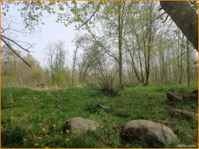 casa unifamiliare 72-112 Vendita Polonia | das Gru 3