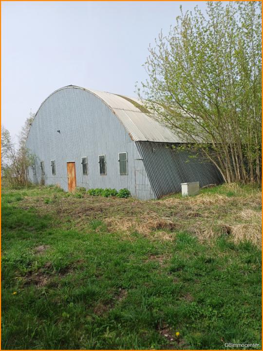 Halle