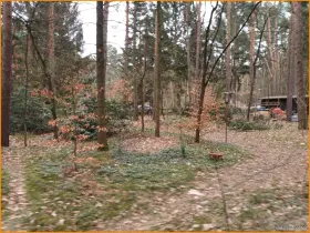 terreno edificabile Beelitz Vendita Germania | Baugru lks