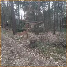 terreno edificabile Beelitz Vendita Germania | weiterer BG hinten