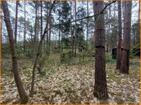 Villa Beelitz zu kaufen Deutschland | Gartenhaus
