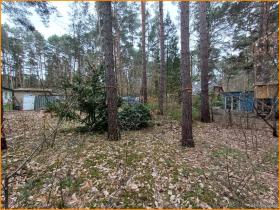 Villa Beelitz zu kaufen Deutschland | wird bald blühen