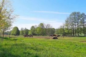 Ferienhaus Visselhövede zu kaufen Deutschland | Reit- und Ferienanlage