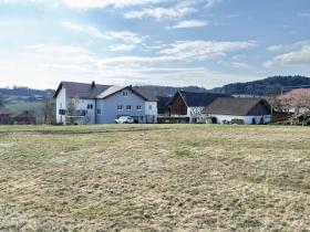 Agriculture surface Foreclosure Auction in Götschka, Austria
