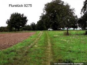 1 - Property land/forestry Foreclosures in Oberderdingen, Germany