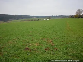 Propriedade da terra / florestal Foreclosures em Pfalzgrafenweiler-Durrweiler, Alemanha