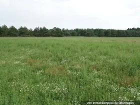 1 - сельское хозяйство Выкупа в Рингфурт, Германия