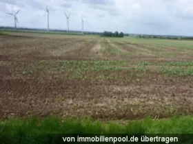 tarım Hacizler 'de Hohenhameln-Peine, Almanya