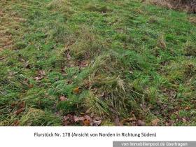 1 - Eiendom land / skogbruk Foreclosures i Niederkirchen-Kaiserslautern, Tyskland