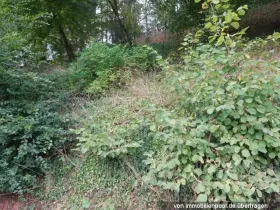 Emlak arazi / ormancılık Hacizler 'de Katzweiler-Kaiserslautern, Almanya