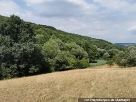 Emlak arazi / ormancılık Hacizler 'de Eulenbis, Almanya