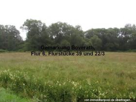 1 - Eiendom land / skogbruk Foreclosures i Daun-Landkreis Vulkaneifel, Tyskland