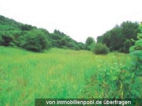 1 - Propriedade da terra / florestal Foreclosures em Schutz-Landkreis Vulkaneifel, Alemanha