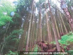 1 - 土地 农业/林业 取消抵押品赎回权 于 魏登巴赫-弗尔卡内菲尔乡村, 德国