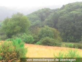 1 - Property land/forestry Foreclosures in Bleckhausen-Landkreis Vulkaneifel, Germany