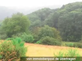 1 - Proprietà terreni / forestale Pignoramenti a Bleckhausen-Landkreis Vulkaneifel, Germania